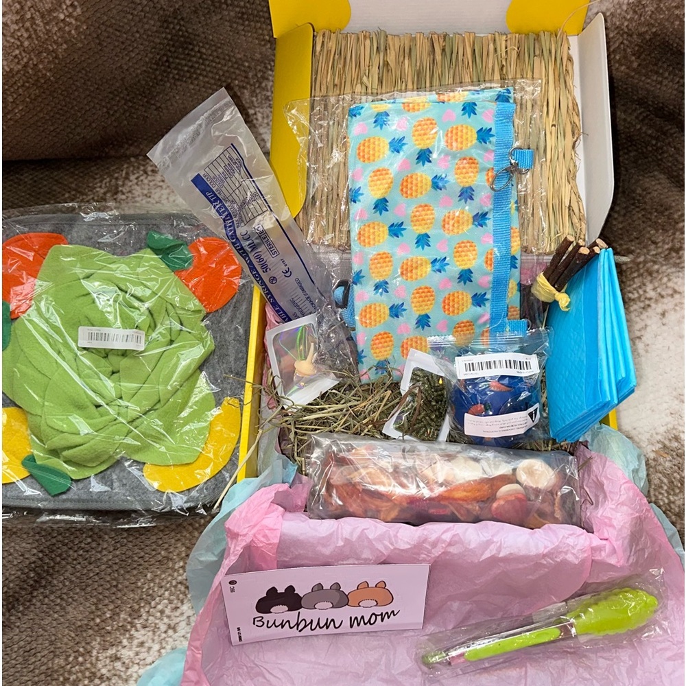 Bunny rabbit *large* treat and toy box (very last one)